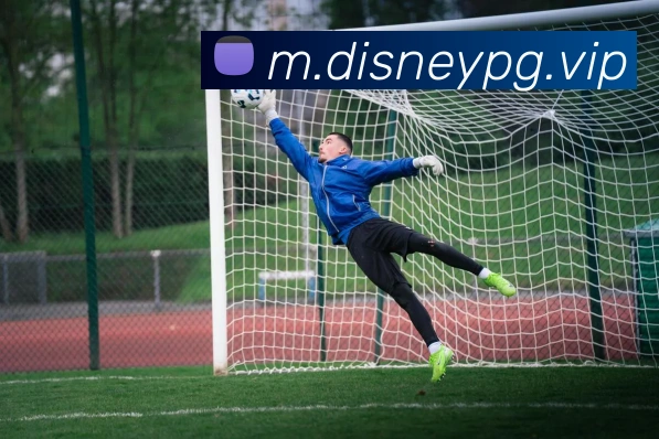 pg官网APP 高清赛事图